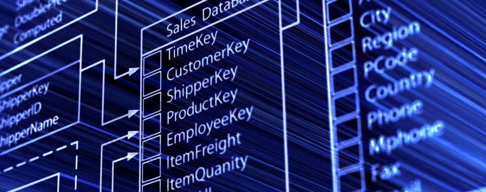 Database Platform Database Platform